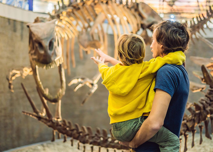 Museums, Art Galleries & Science Centers